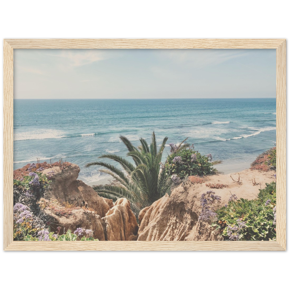 Del Mar, San Diego, California Beach Framed Photo Print