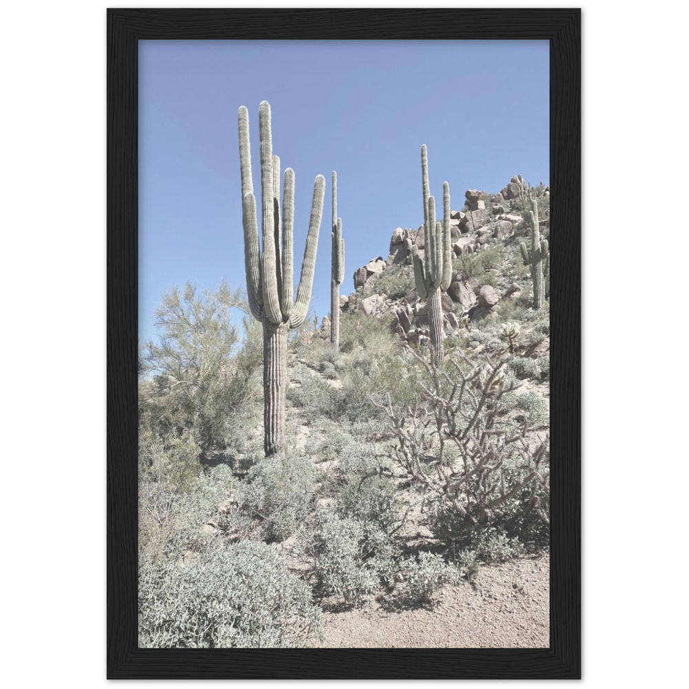 Arizona Desert Framed Photo Print