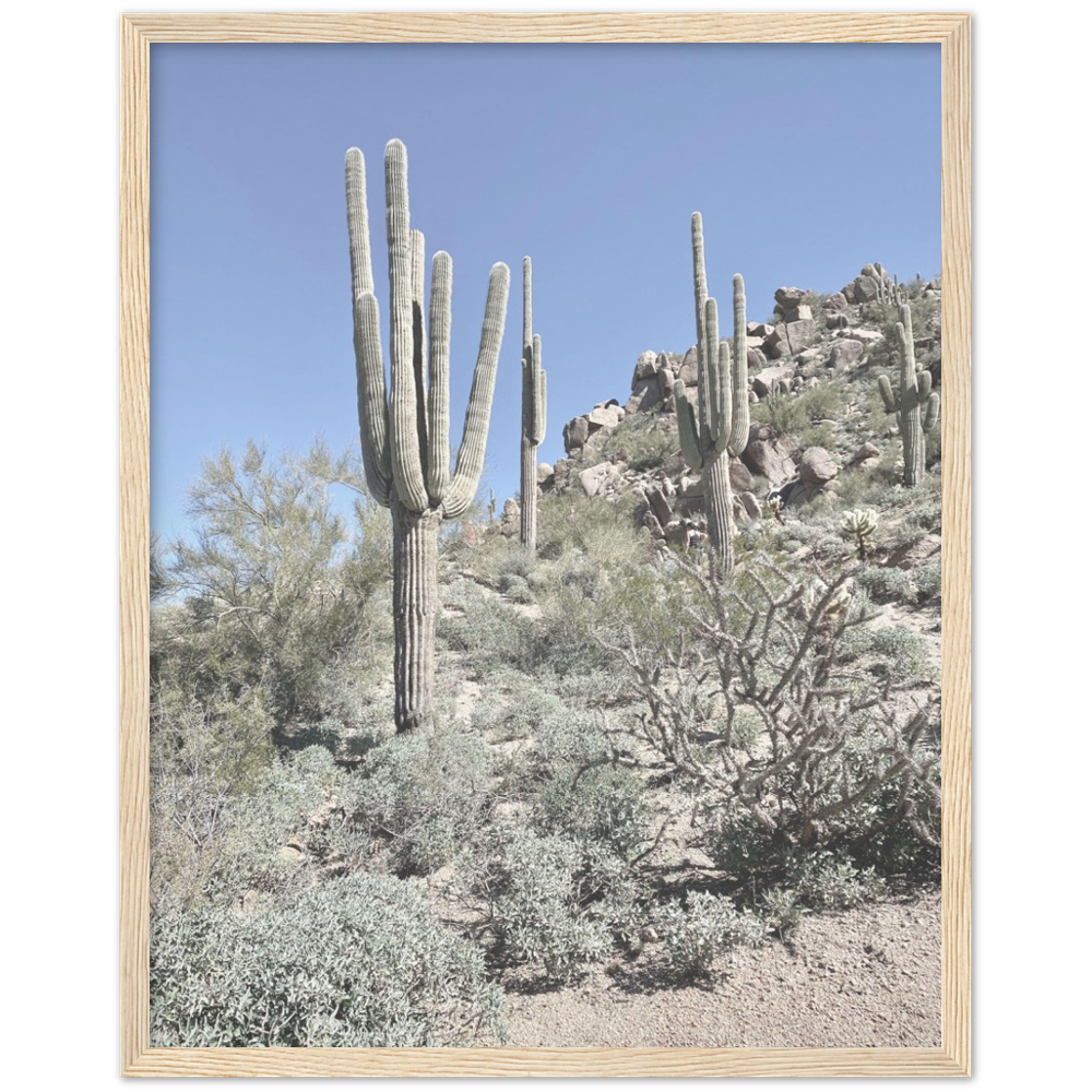 Arizona Desert Framed Photo Print