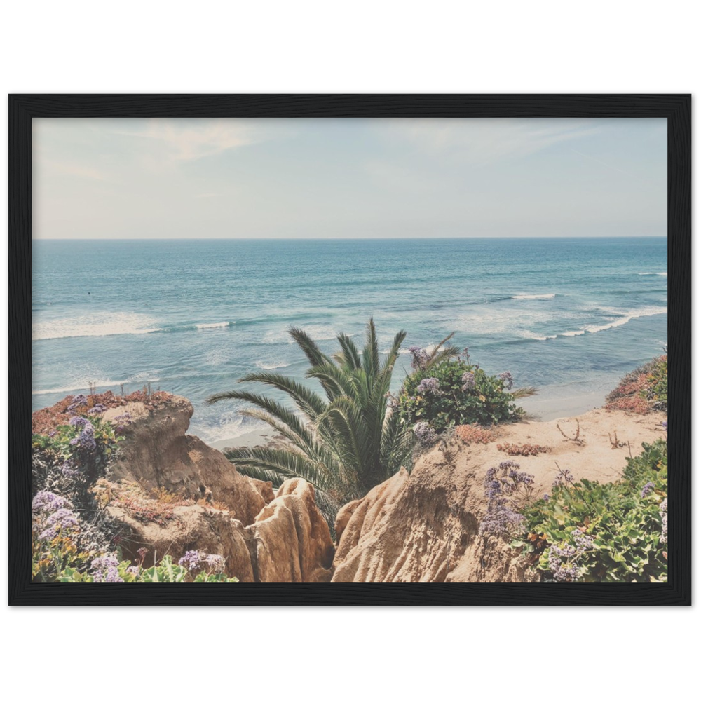 Del Mar, San Diego, California Beach Framed Photo Print