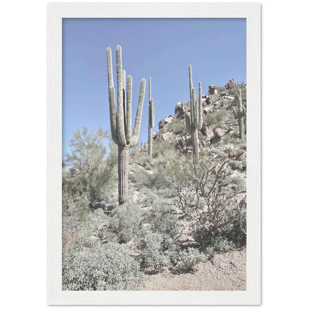 Arizona Desert Framed Photo Print