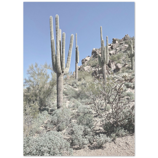 Arizona Desert Photo Print