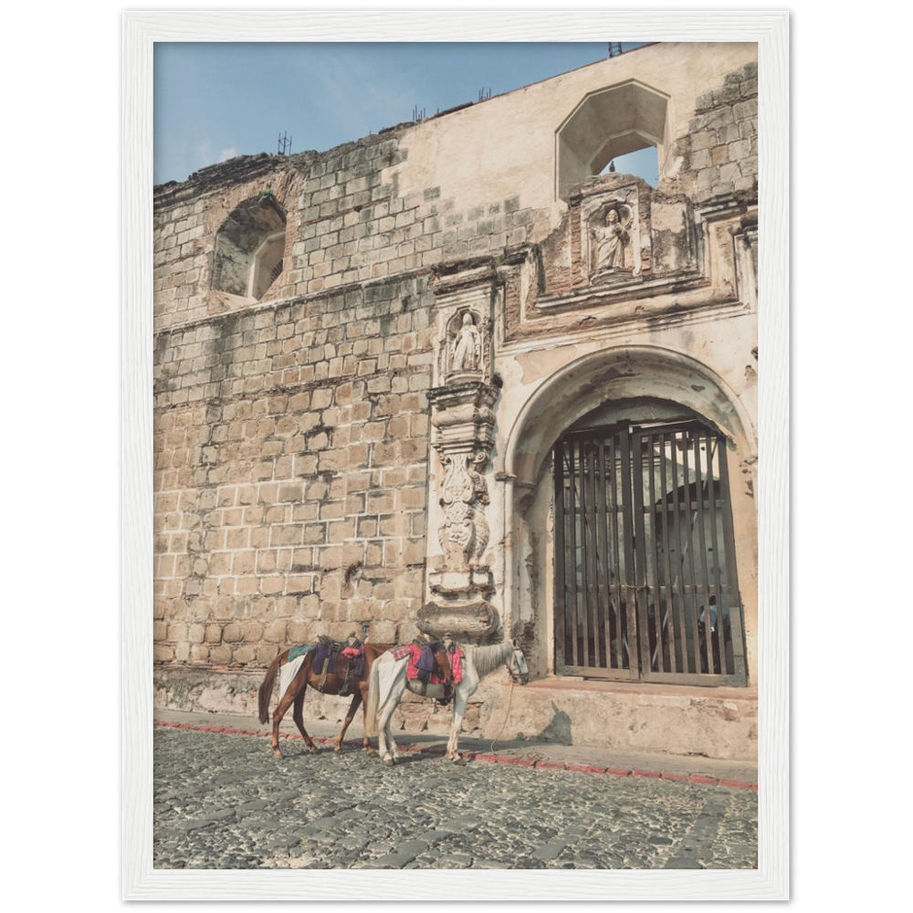 Church and Horses Antigua, Guatemala Framed Photo Print