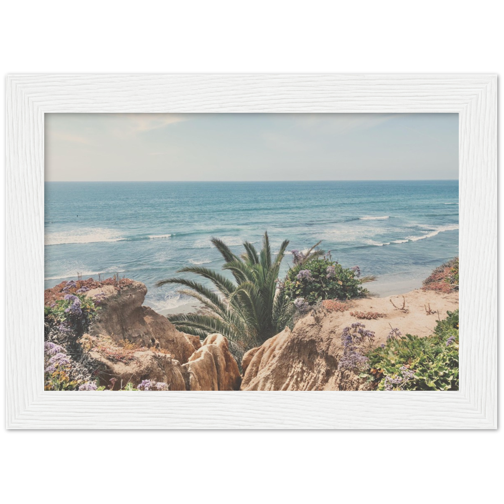 Del Mar, San Diego, California Beach Framed Photo Print