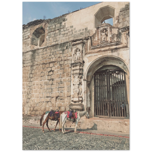 Church and Horses Antigua, Guatemala Photo Print