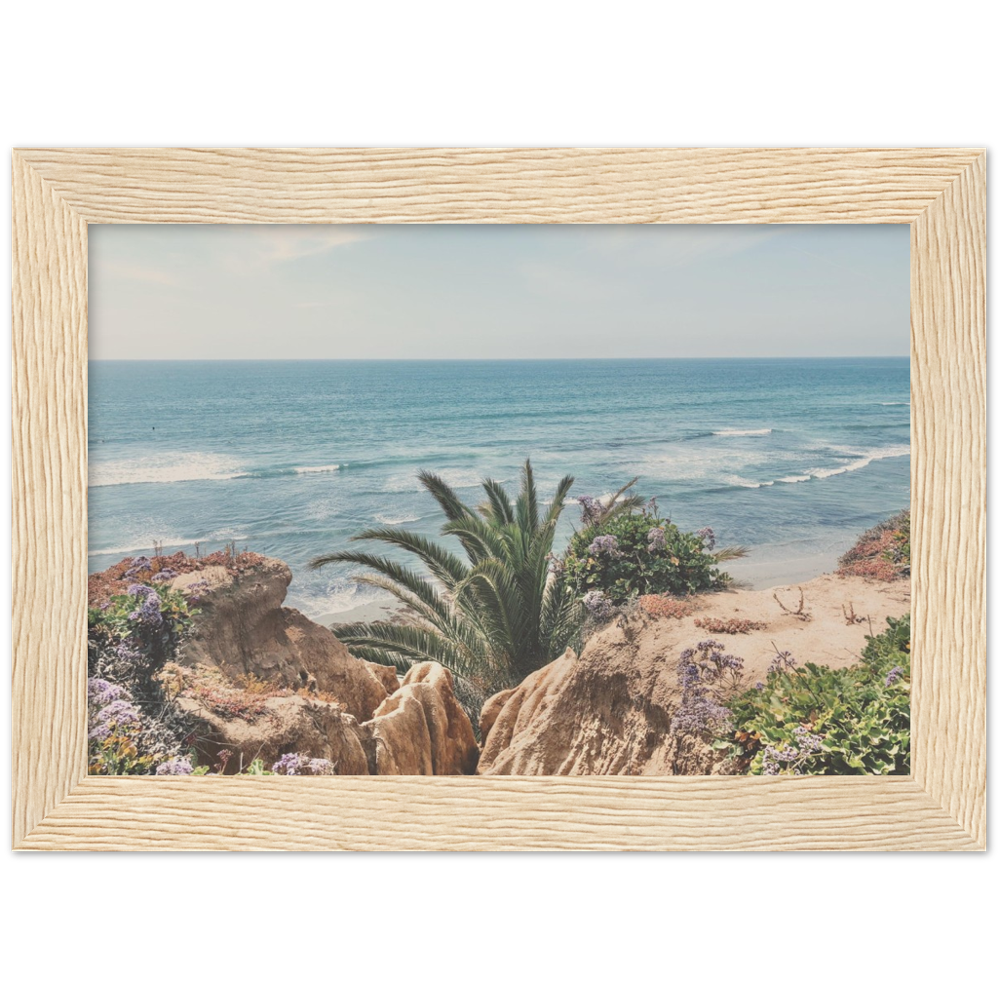 Del Mar, San Diego, California Beach Framed Photo Print