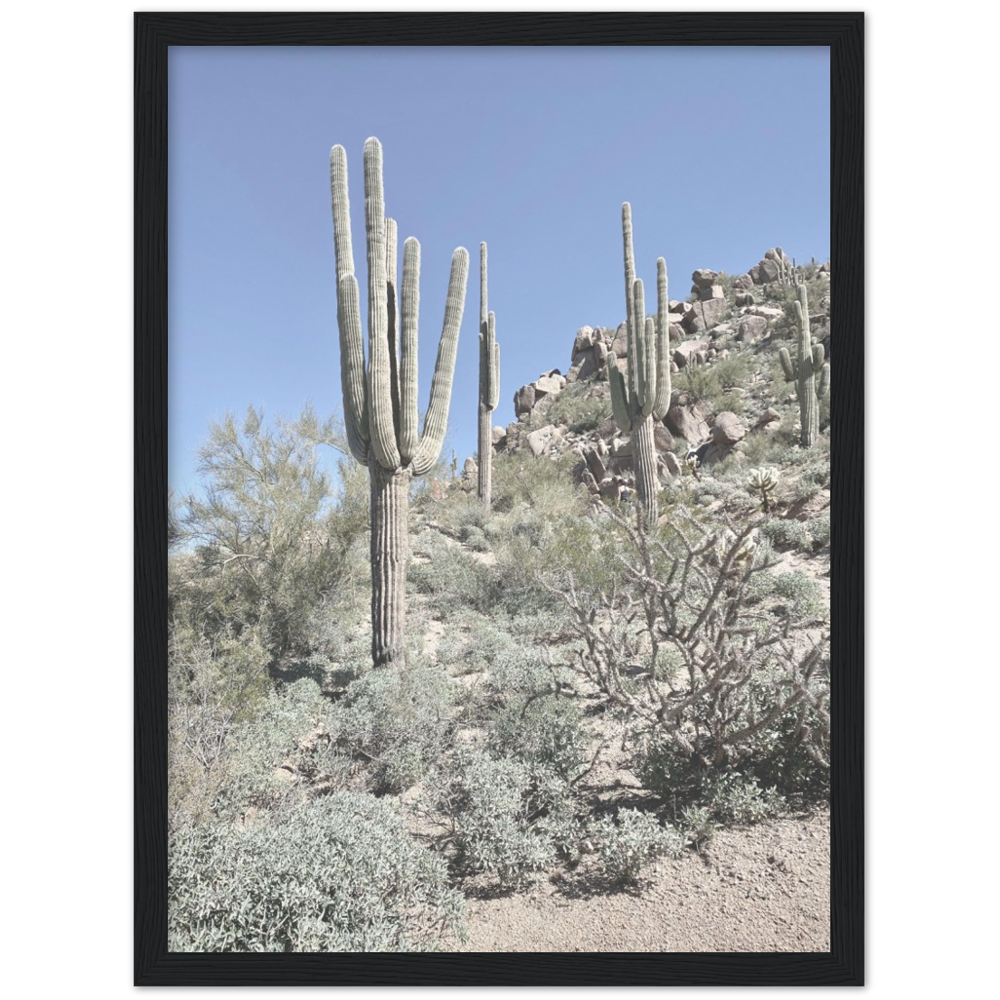 Arizona Desert Framed Photo Print