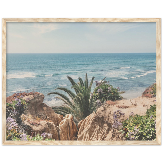 Del Mar, San Diego, California Beach Framed Photo Print