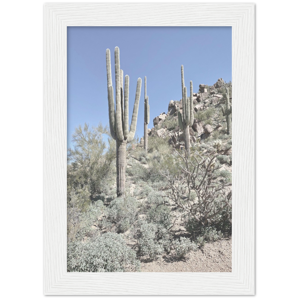 Arizona Desert Framed Photo Print