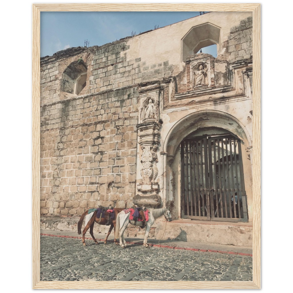 Church and Horses Antigua, Guatemala Framed Photo Print