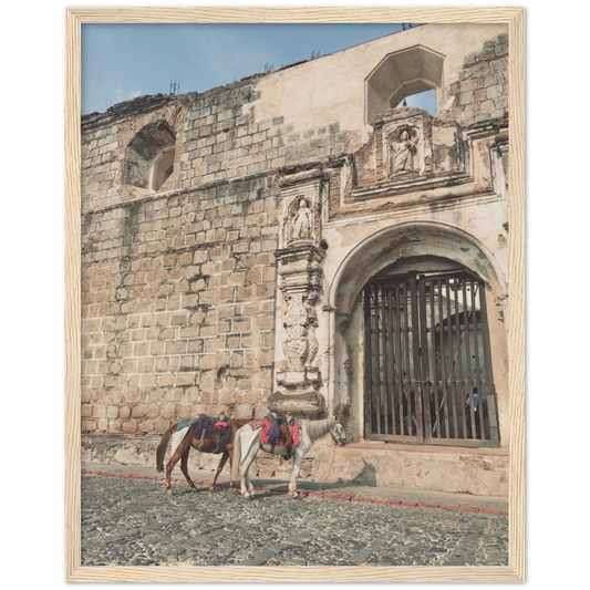 Church and Horses Antigua, Guatemala Framed Photo Print