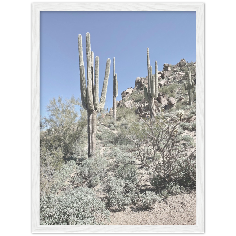 Arizona Desert Framed Photo Print