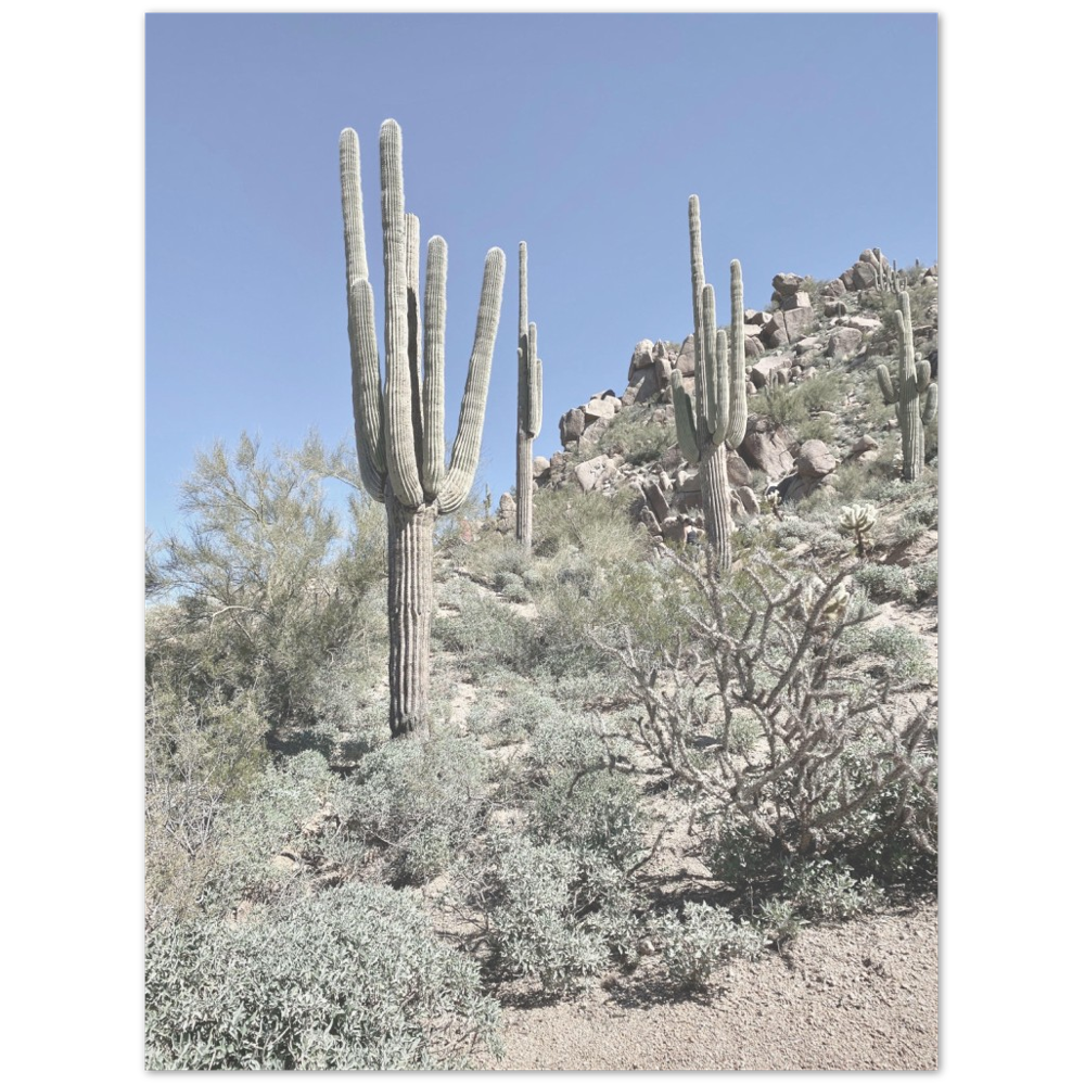 Arizona Desert Photo Print