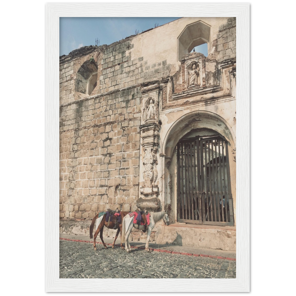 Church and Horses Antigua, Guatemala Framed Photo Print