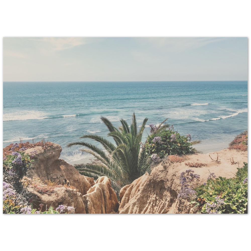 Del Mar, San Diego, California Beach Photo Print