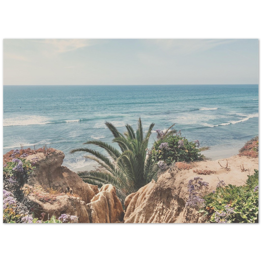 Del Mar, San Diego, California Beach Photo Print