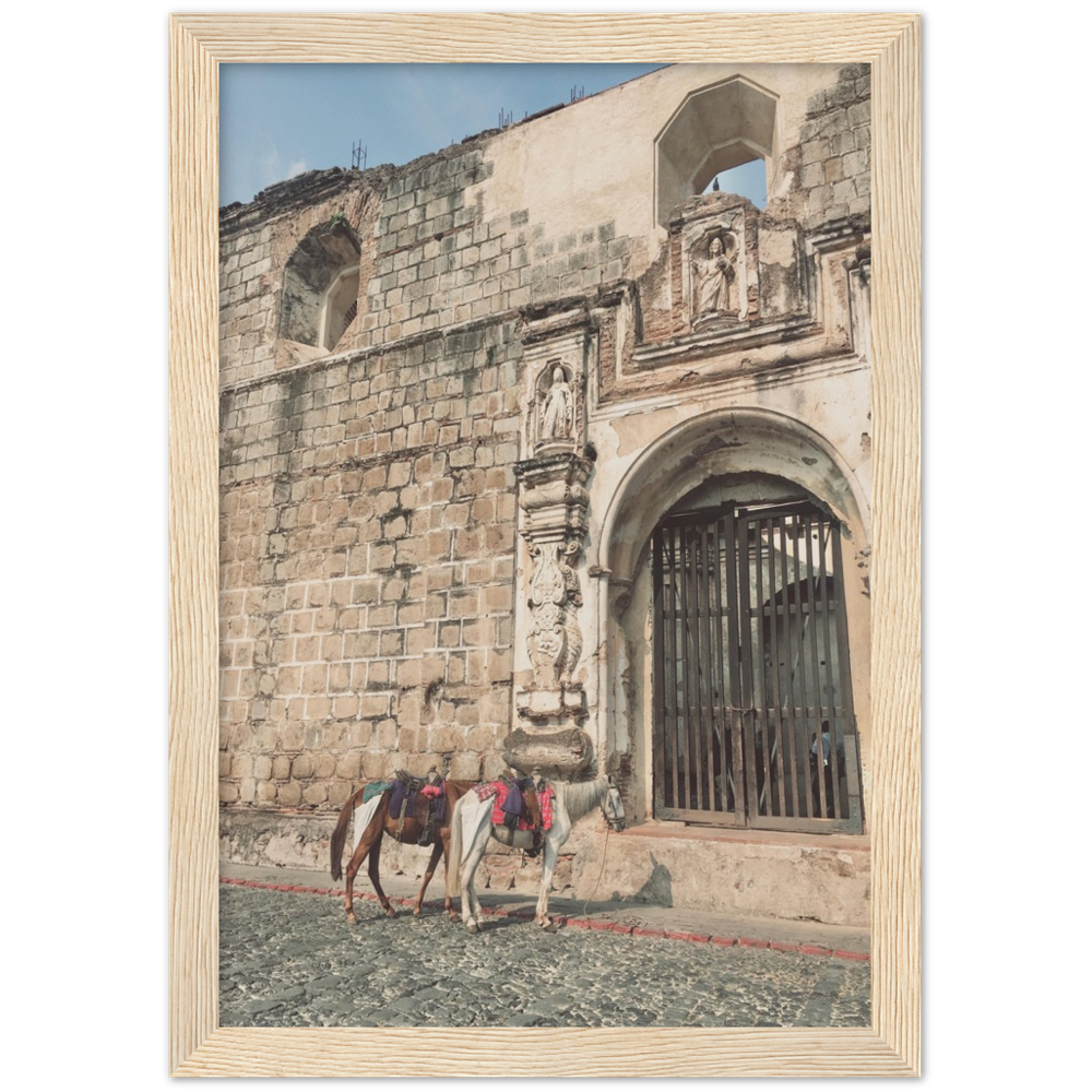 Church and Horses Antigua, Guatemala Framed Photo Print