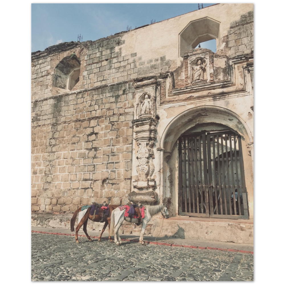 Church and Horses Antigua, Guatemala Photo Print