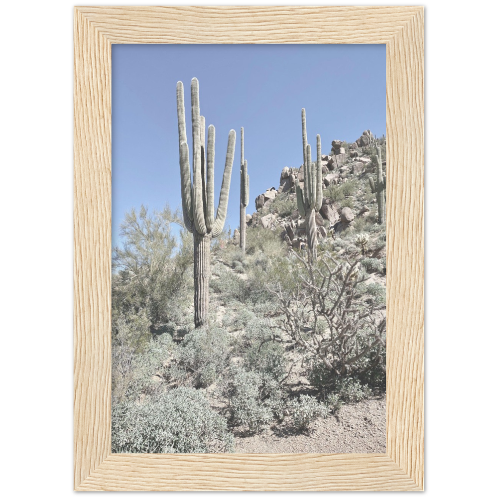 Arizona Desert Framed Photo Print