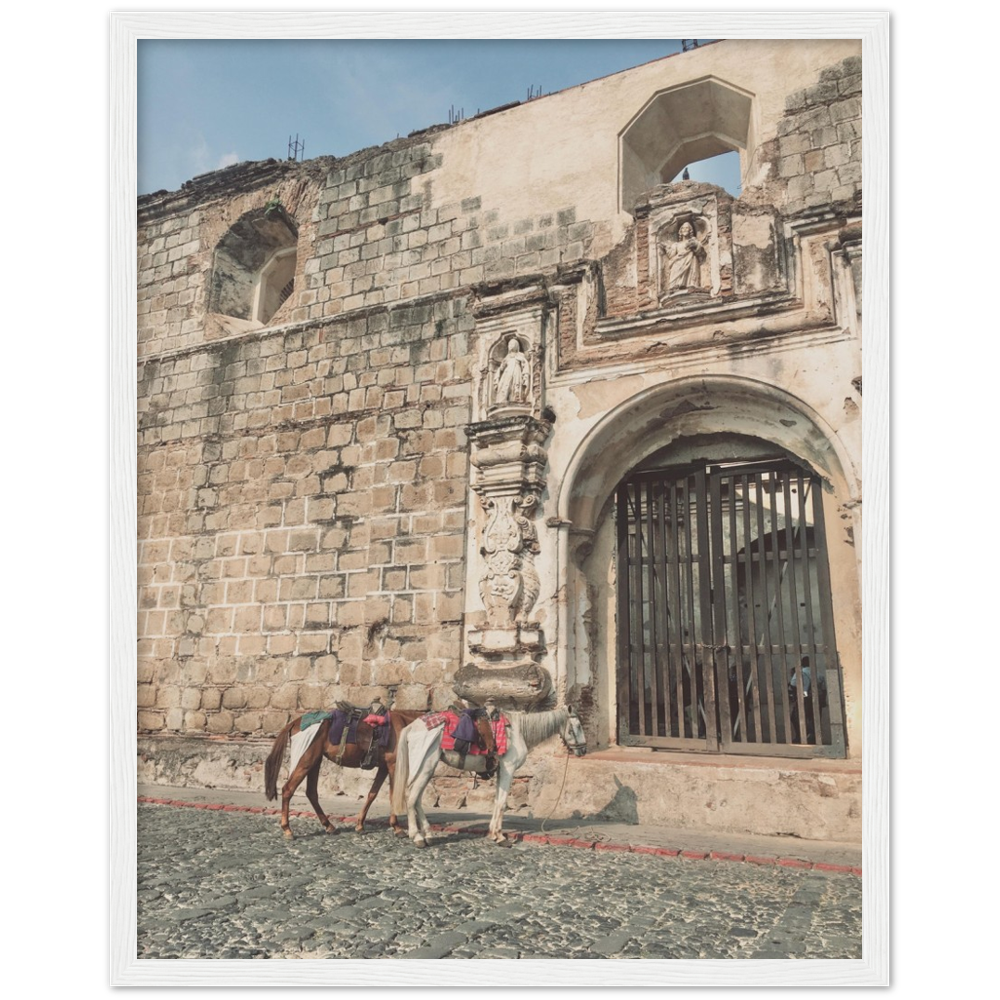 Church and Horses Antigua, Guatemala Framed Photo Print