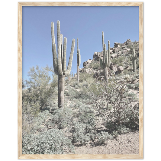 Arizona Desert Framed Photo Print