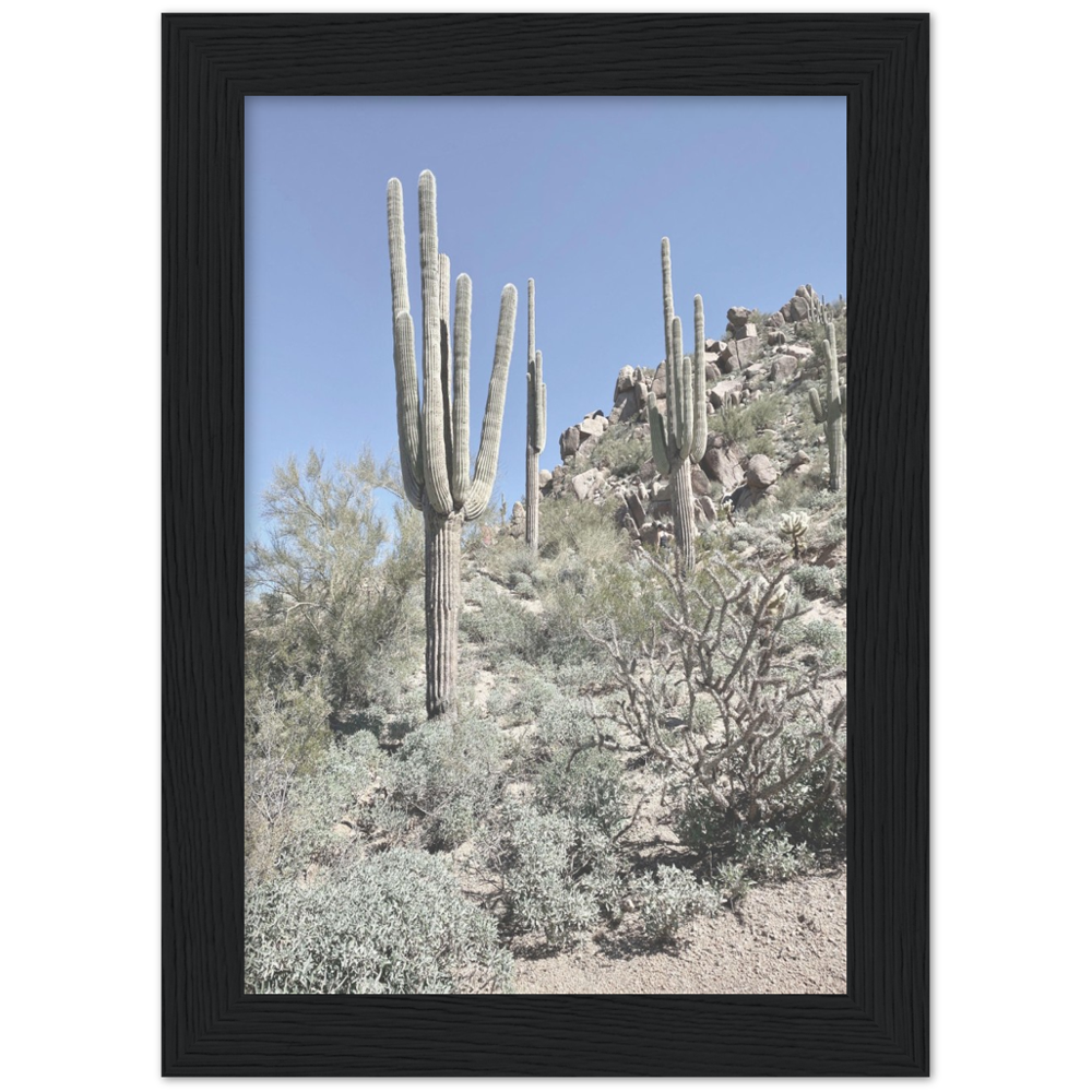 Arizona Desert Framed Photo Print