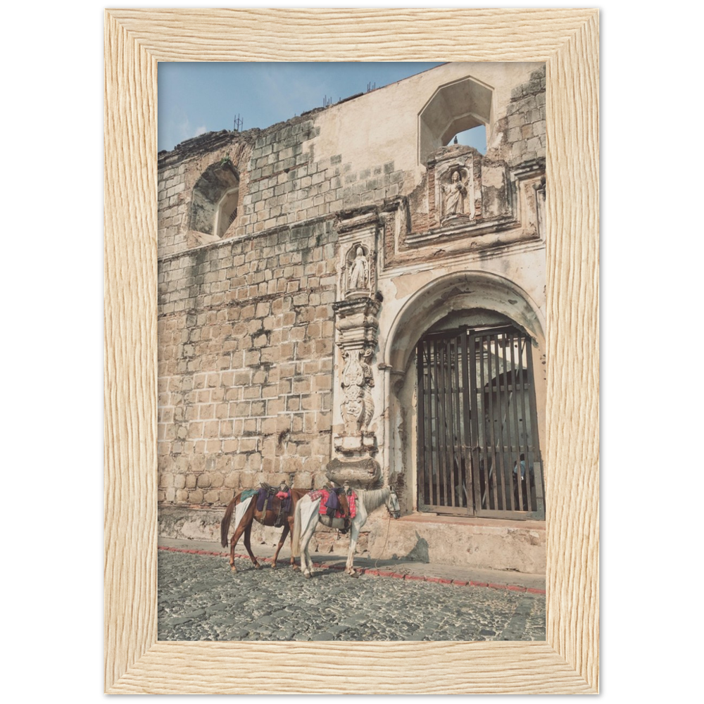 Church and Horses Antigua, Guatemala Framed Photo Print