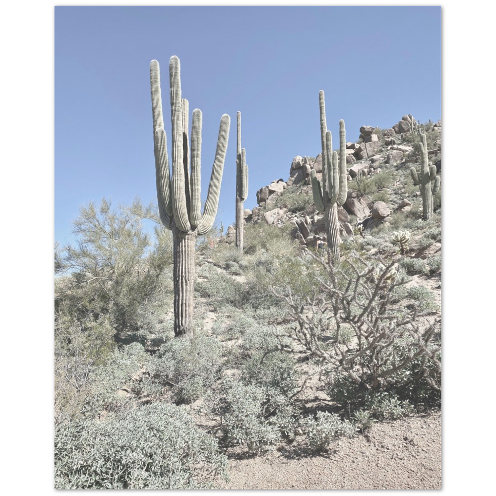 Arizona Desert Photo Print