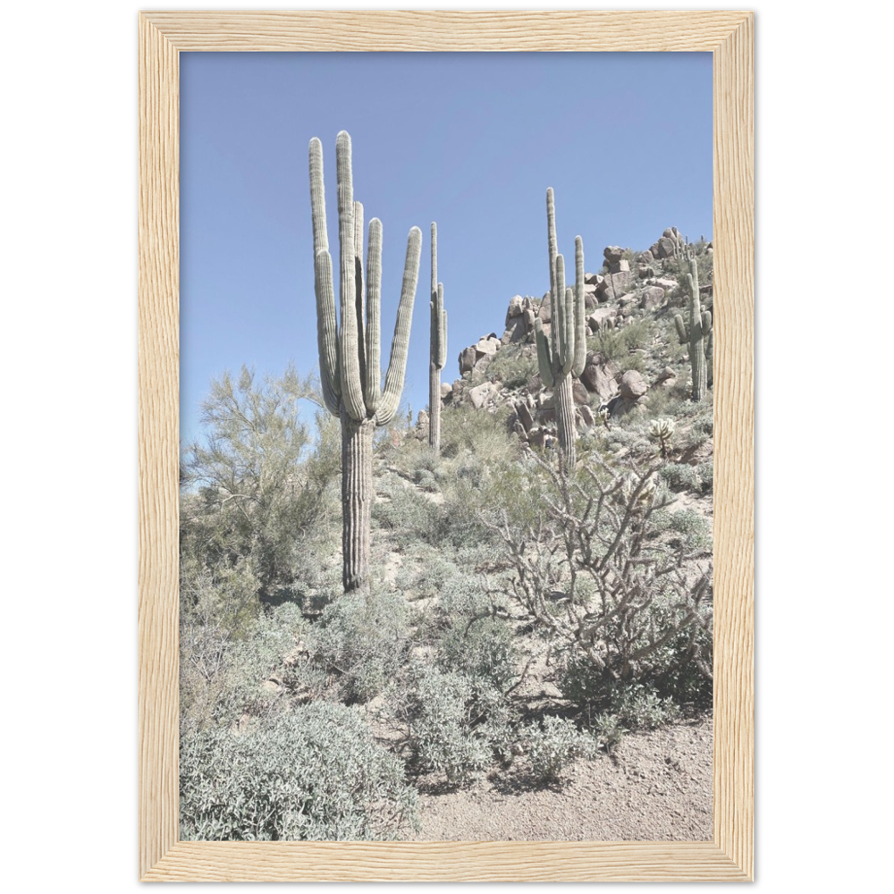 Arizona Desert Framed Photo Print