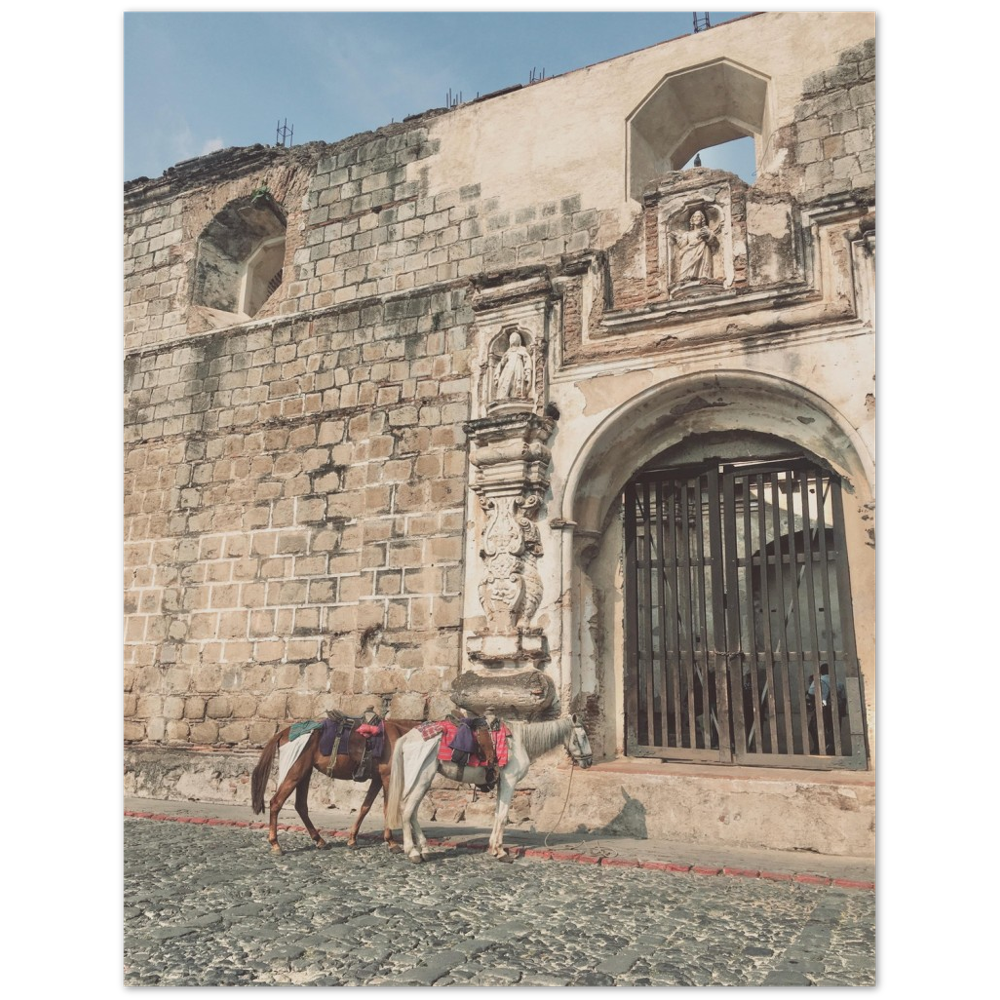 Church and Horses Antigua, Guatemala Photo Print