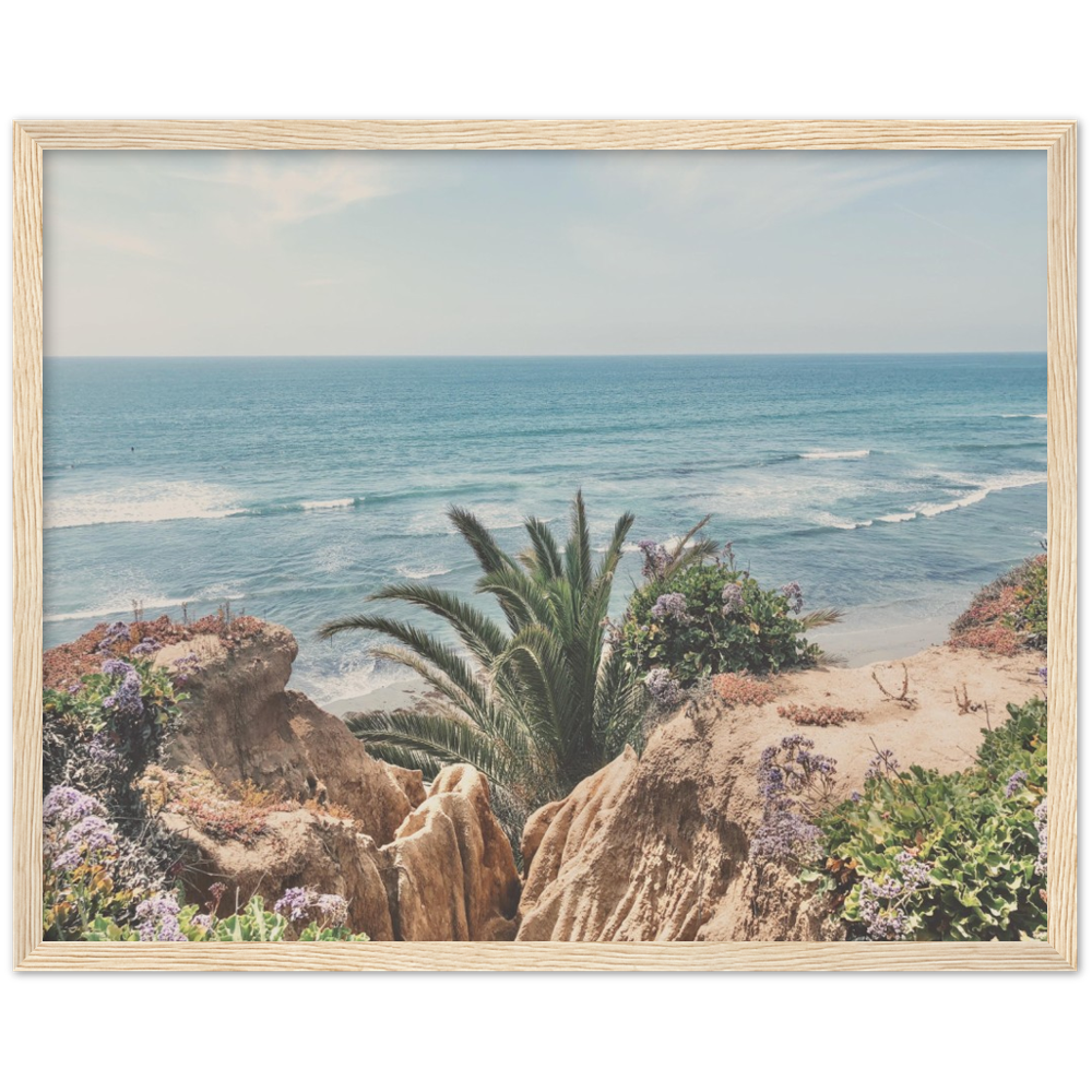 Del Mar, San Diego, California Beach Framed Photo Print