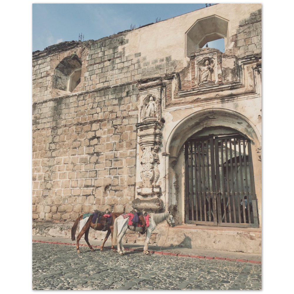 Church and Horses Antigua, Guatemala Photo Print