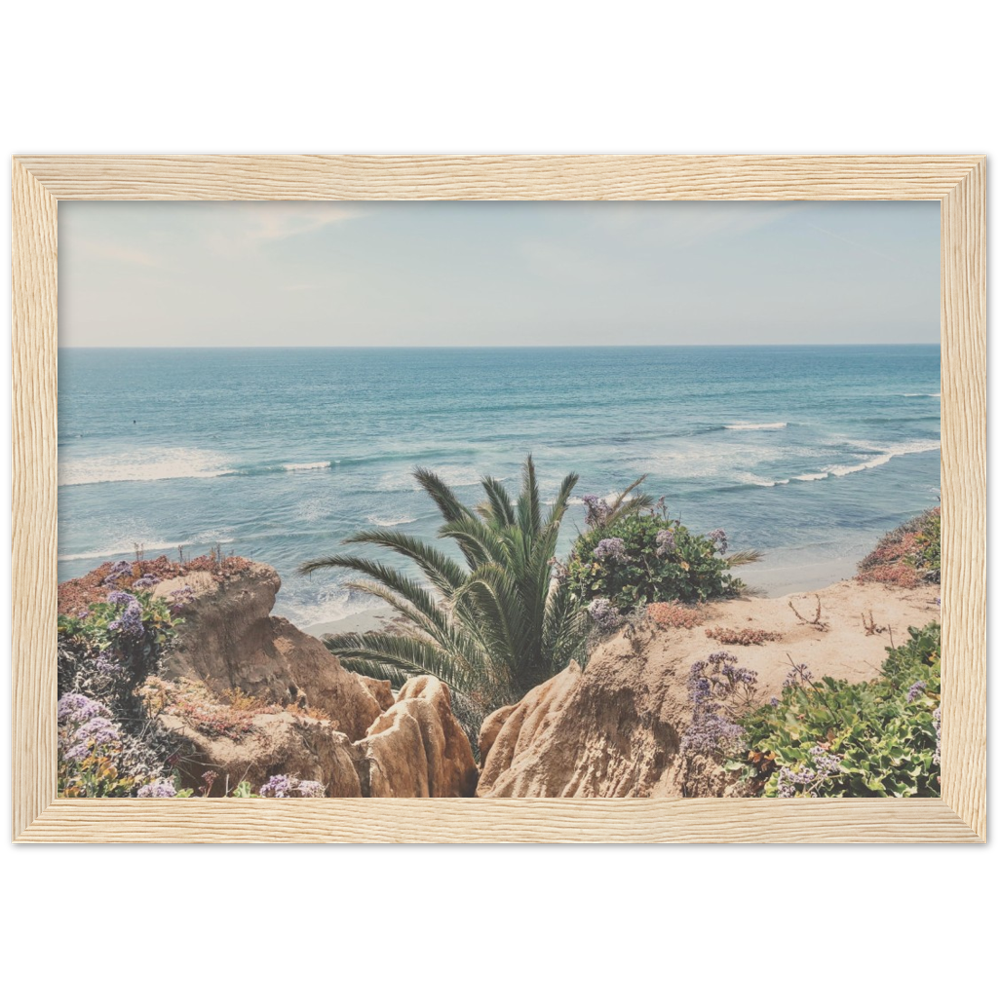 Del Mar, San Diego, California Beach Framed Photo Print