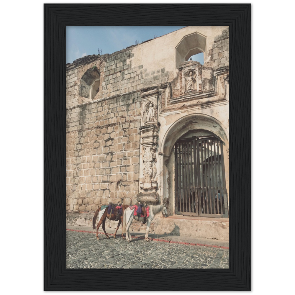 Church and Horses Antigua, Guatemala Framed Photo Print