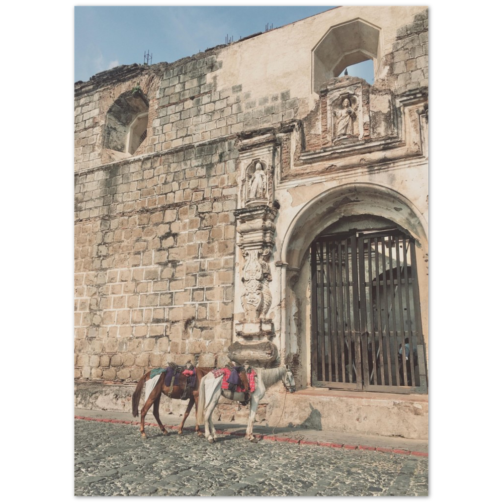 Church and Horses Antigua, Guatemala Photo Print