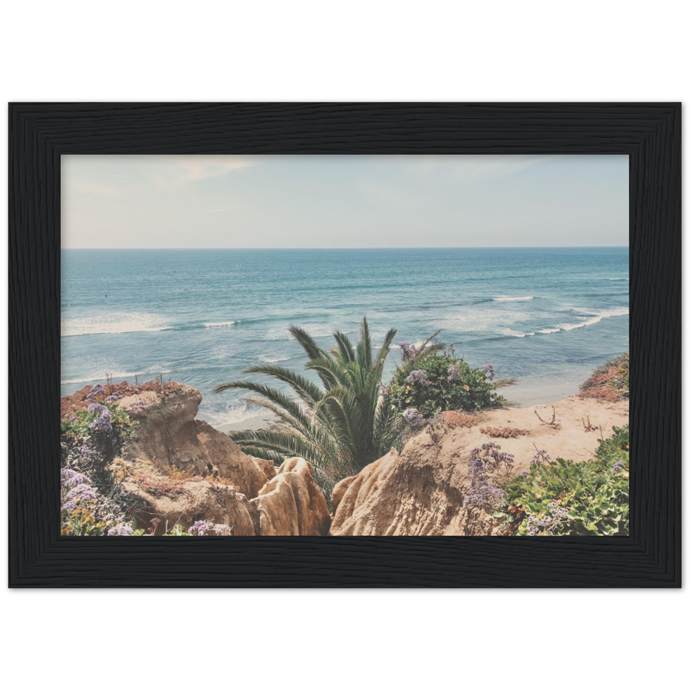 Del Mar, San Diego, California Beach Framed Photo Print