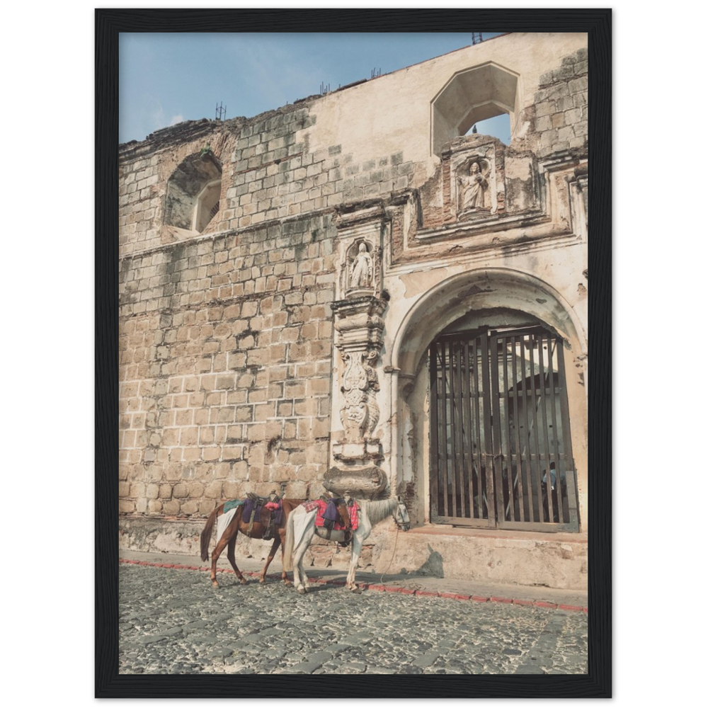 Church and Horses Antigua, Guatemala Framed Photo Print