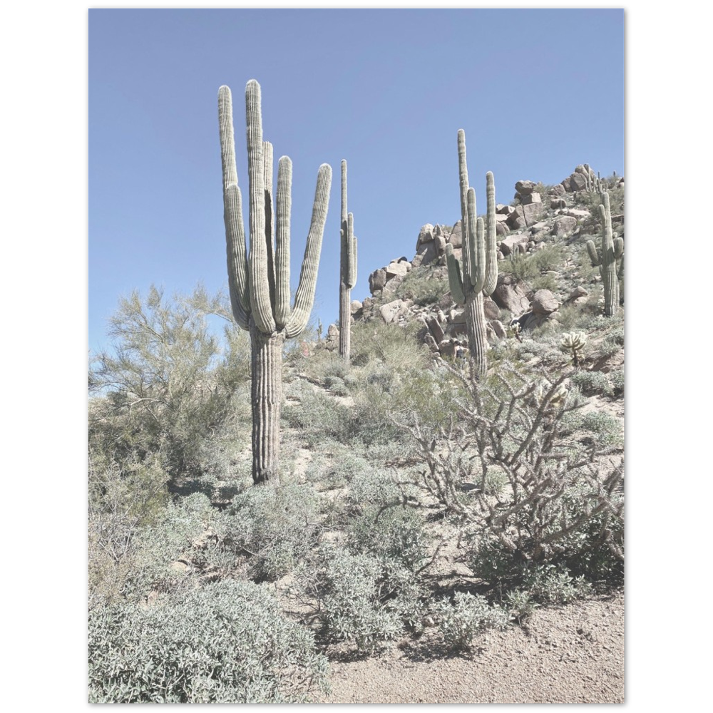 Arizona Desert Photo Print