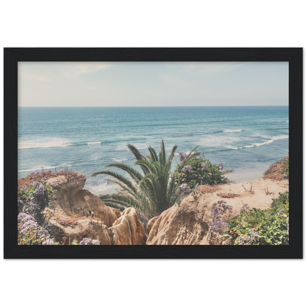 Del Mar, San Diego, California Beach Framed Photo Print