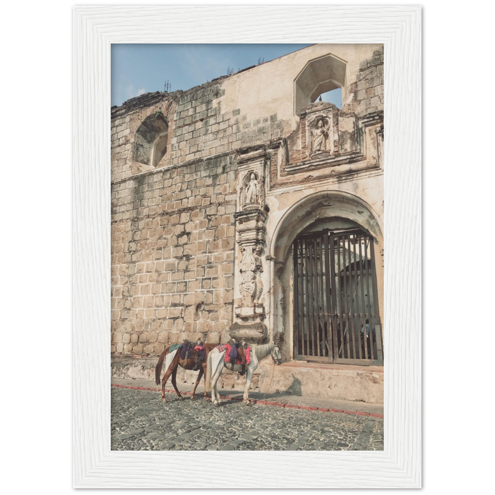 Church and Horses Antigua, Guatemala Framed Photo Print