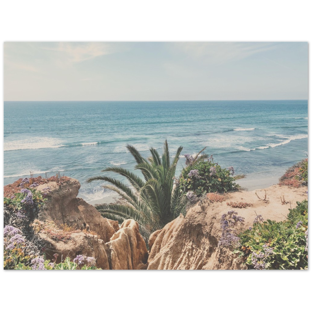 Del Mar, San Diego, California Beach Photo Print