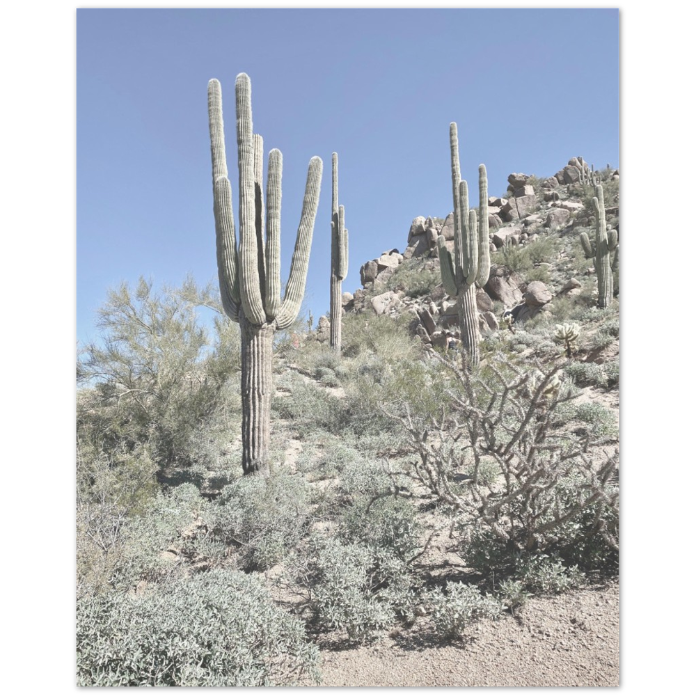 Arizona Desert Photo Print