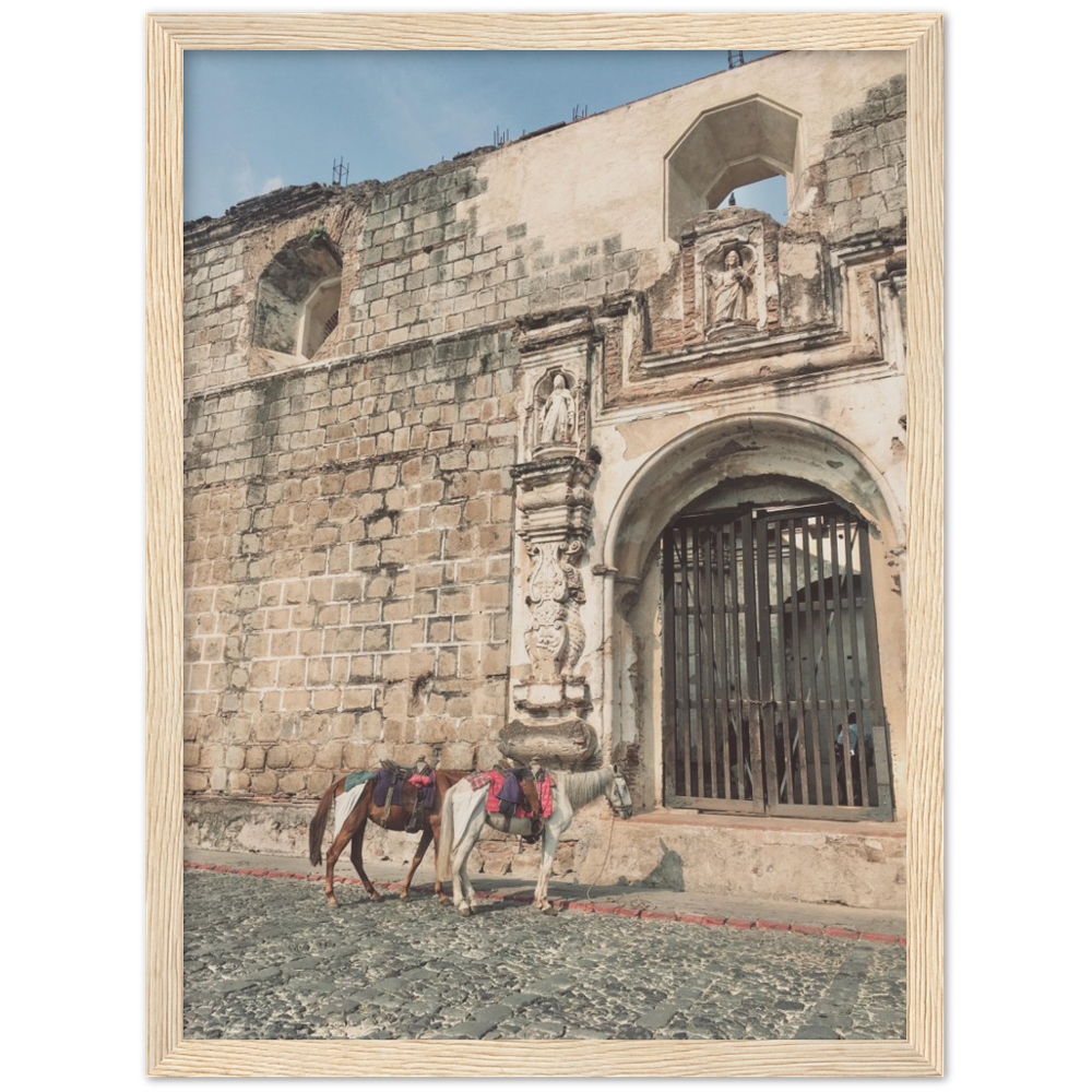 Church and Horses Antigua, Guatemala Framed Photo Print