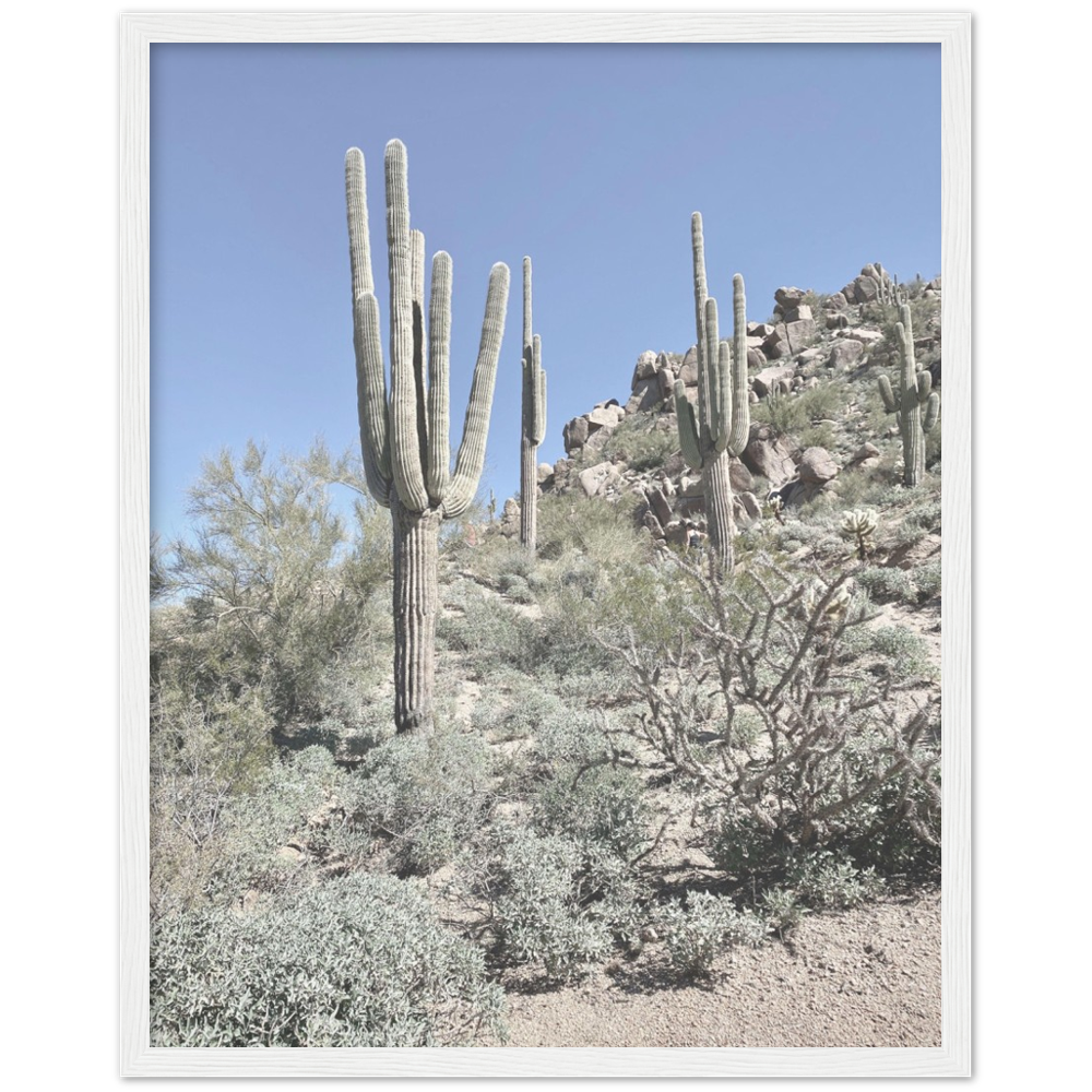 Arizona Desert Framed Photo Print