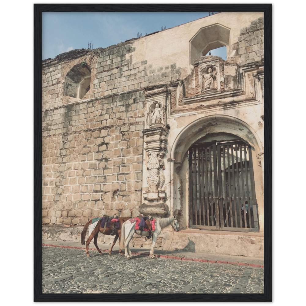 Church and Horses Antigua, Guatemala Framed Photo Print