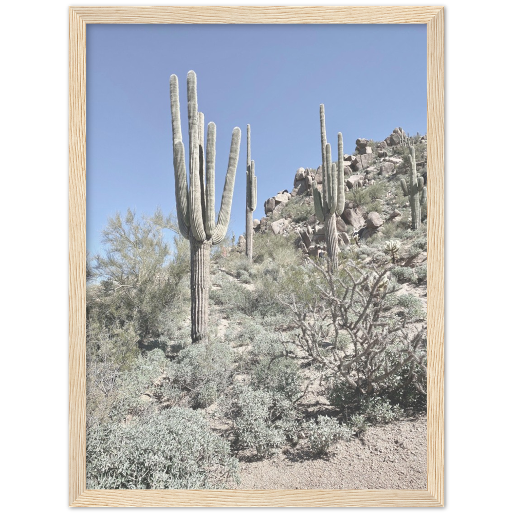 Arizona Desert Framed Photo Print