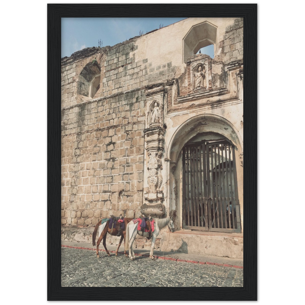 Church and Horses Antigua, Guatemala Framed Photo Print