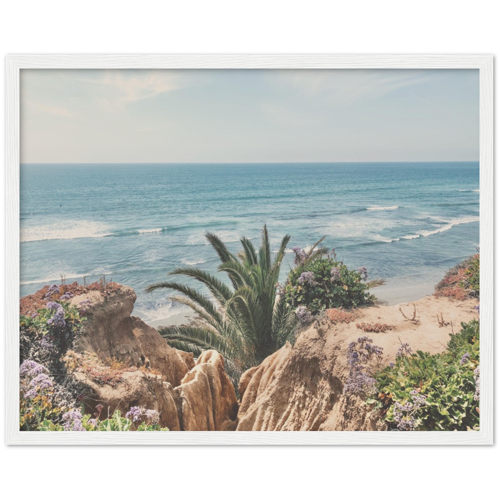 Del Mar, San Diego, California Beach Framed Photo Print