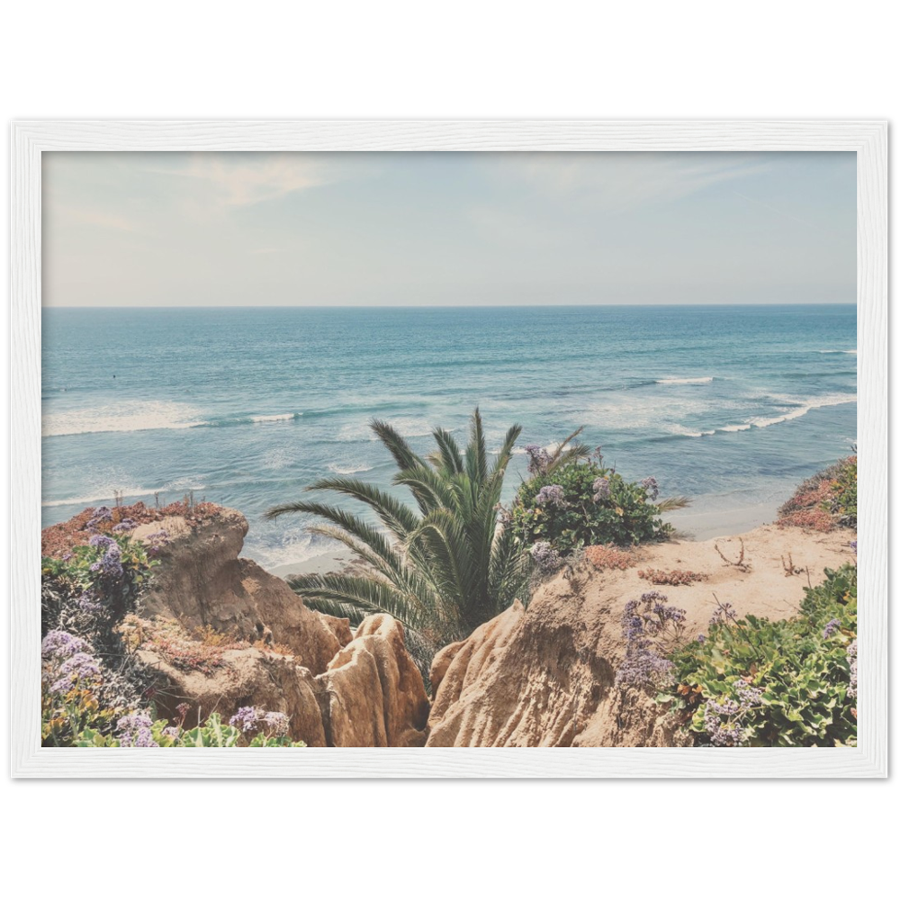 Del Mar, San Diego, California Beach Framed Photo Print