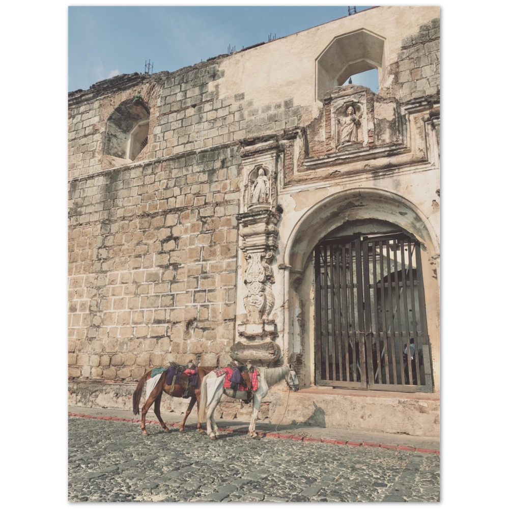 Church and Horses Antigua, Guatemala Photo Print